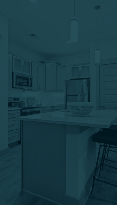 Apartment kitchen
