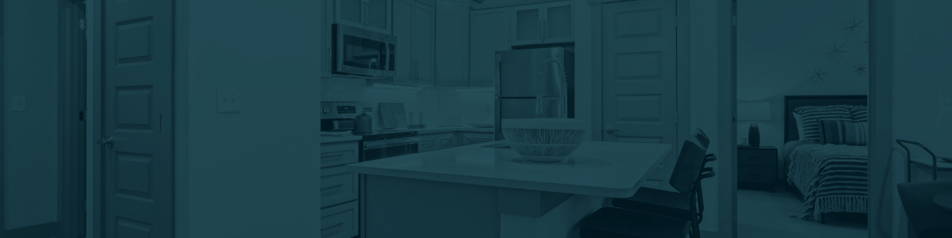 Apartment kitchen